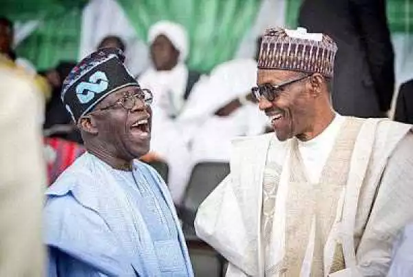 “Only Crazy People Will Say I Did Not Visit President Buhari” – Tinubu